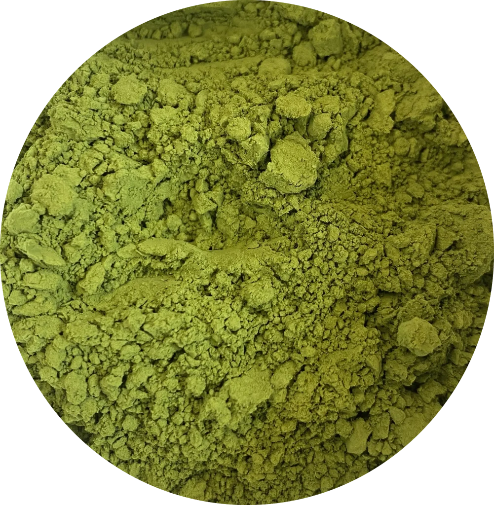 Té Verde Matcha Ujicha