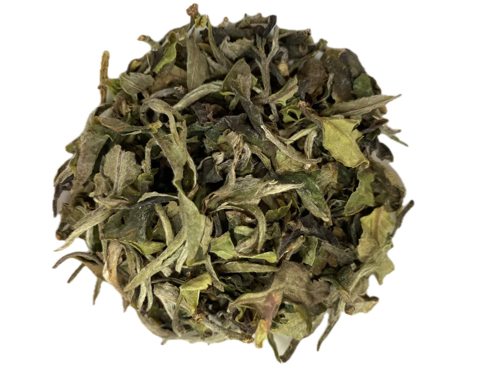 Té Blanco Pai Mu Tan