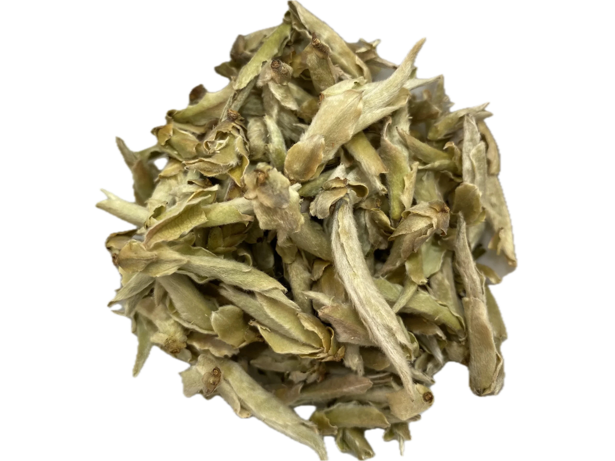 Té Blanco Yunnan Bud Ya Bao