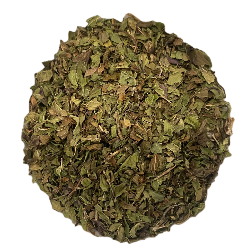 Infusión Menta