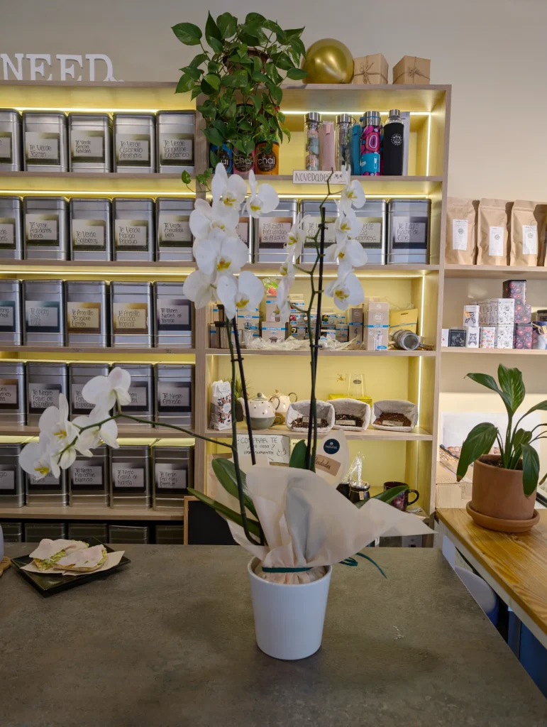Estanterías de tés e infusiones en la tienda actual de I Need Tea